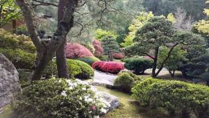 japanese garden